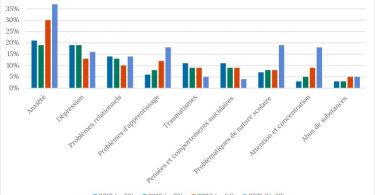 Figure représentant la répartition des préoccupations en matière de santé mentale chez les personnes étudiantes
